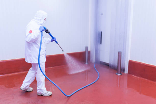 Best Restaurant Pressure Washing  in Sterling, GA