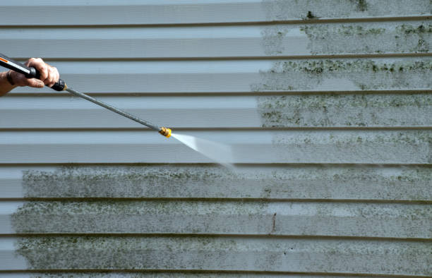 Best Driveway Pressure Washing  in Sterling, GA
