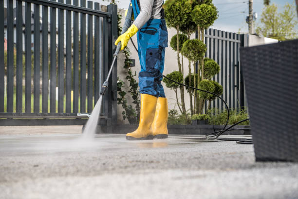 Best Patio and Deck Pressure Washing  in Sterling, GA