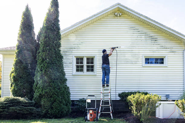 Best Solar Panel Cleaning  in Sterling, GA