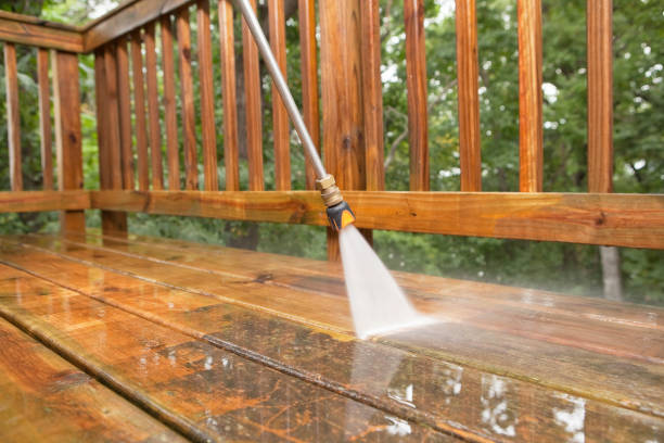 Best Spring Cleaning  in Sterling, GA